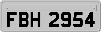 FBH2954