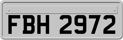 FBH2972