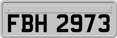 FBH2973