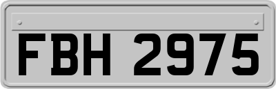 FBH2975