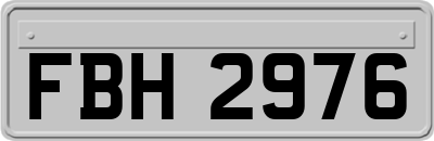 FBH2976
