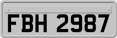 FBH2987