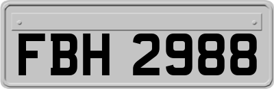 FBH2988