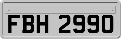 FBH2990
