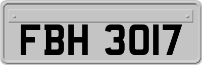 FBH3017