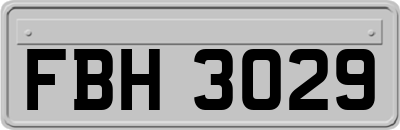FBH3029