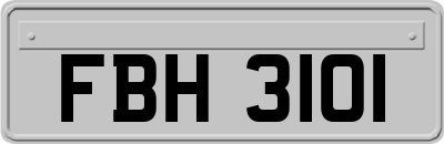 FBH3101