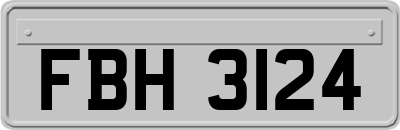 FBH3124