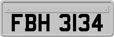 FBH3134