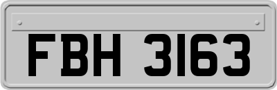 FBH3163