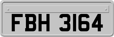 FBH3164