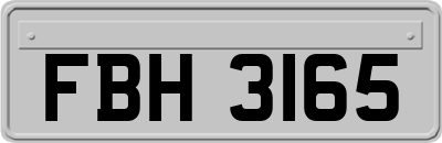 FBH3165