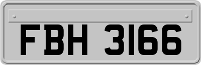 FBH3166
