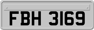 FBH3169