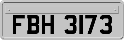 FBH3173