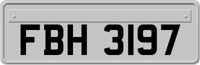 FBH3197