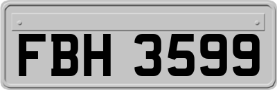 FBH3599