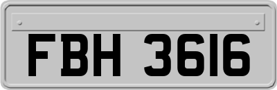 FBH3616