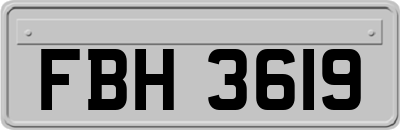 FBH3619