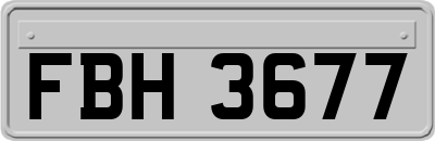 FBH3677