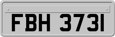FBH3731