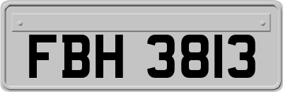 FBH3813