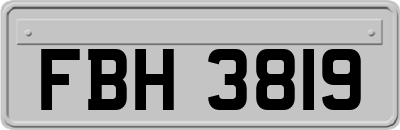 FBH3819