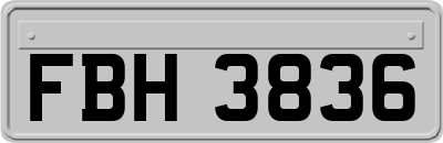 FBH3836