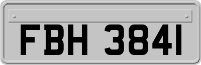 FBH3841