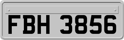 FBH3856