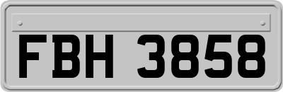 FBH3858