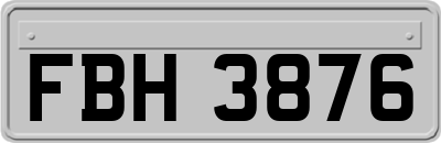 FBH3876