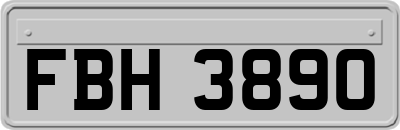 FBH3890