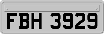 FBH3929