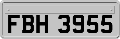 FBH3955