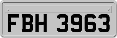 FBH3963