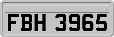 FBH3965