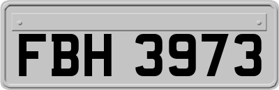 FBH3973