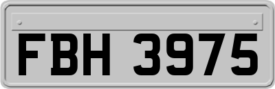 FBH3975