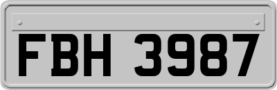 FBH3987