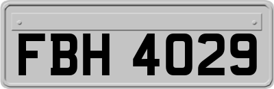FBH4029