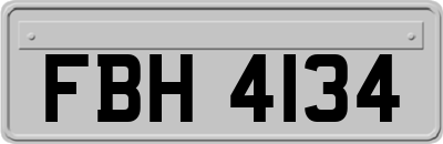 FBH4134