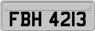 FBH4213