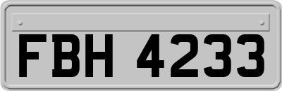 FBH4233