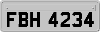 FBH4234
