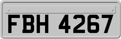 FBH4267