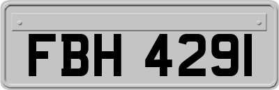 FBH4291