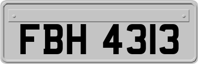FBH4313