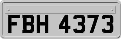 FBH4373