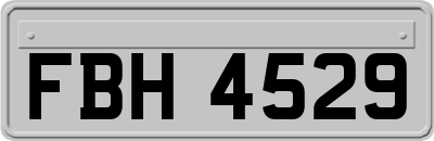 FBH4529